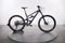 YT Capra Uncaged Custom