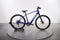 Trek Dual Sport+ 2