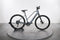 Trek Dual Sport+ 2