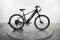 Lectric XPress 750