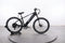 Lectric XPress 750