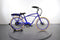 Pedego Interceptor