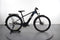 Cannondale Tesoro Neo X 2