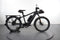 Riese & Müller Multicharger GT Rohloff HS