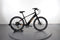 Aventon Pace 350.2