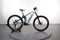 Orbea Wild M10