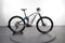 Orbea Wild M10