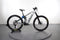 Orbea Wild M10