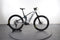Orbea Wild M10