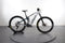 Orbea Wild M10