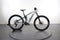 Orbea Wild M10