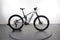 Orbea Wild M10