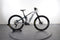 Orbea Wild M10