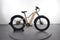 Aventon Aventure 1