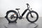 Rad Power Bikes RadRover 6 Plus