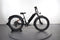 Rad Power Bikes RadRover 6