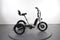 Rad Power Bikes Rad Trike