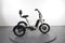 Rad Power Bikes Rad Trike