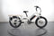 Rad Power Bikes RadWagon 4