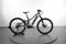 Trek Powerfly FS 4 Gen 2
