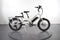 Rad Power Bikes RadWagon 4