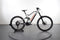 Niner WFO e9