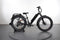 Rad Power Bikes RadRover 6 Plus