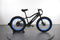 Pedego Trail Tracker