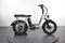 Rad Power Bikes RadRunner Plus