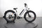 Rad Power Bikes RadRover 6 Plus