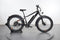 Rad Power Bikes RadRover 6 Plus