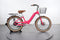 Electric Bike Model E