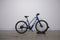 Trek Dual Sport+ 2