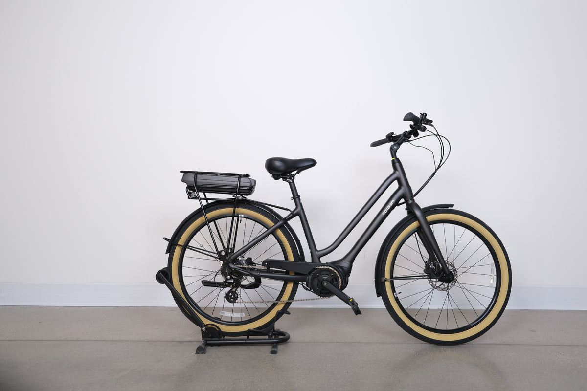 Momentum Lafree E+