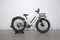 Rad Power Bikes RadRover 6 Plus