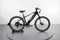 Lectric XPress 750