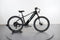 Lectric XPress 750