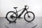 Lectric XPress 750