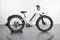 Rad Power Bikes RadRover 6 Plus
