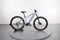 Trek Powerfly 4