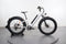 Rad Power Bikes RadRover 6 Plus