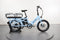 Lectric XPedition Dual-Battery