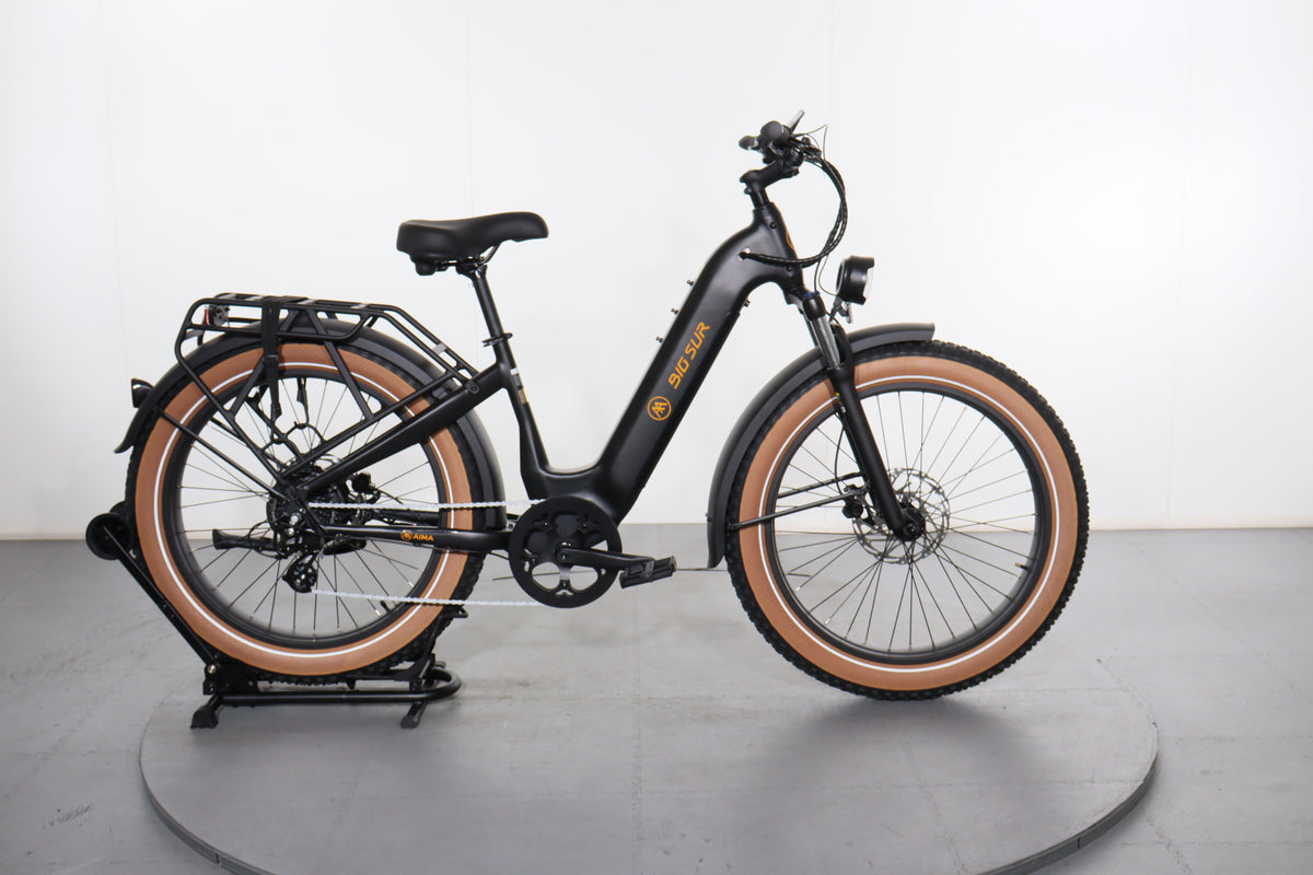 ABU 4601 RD イマエ 2023 Manuel Adalid Torres #291 Spruce EIRW 640mm