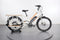 Rad Power Bikes RadWagon 3