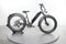 Rad Power Bikes RadRover 6