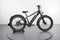 Rad Power Bikes RadRover 6 Plus