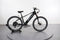 Lectric XPress 750