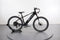 Lectric XPress 750