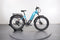 Denago Fat Tire 2