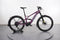Specialized Turbo Tero X 4.0